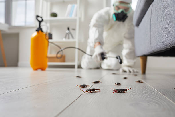 Affordable Cockroach Control solutions in Cochituate, MA